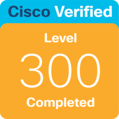 Secure Solutions with VPNs badge